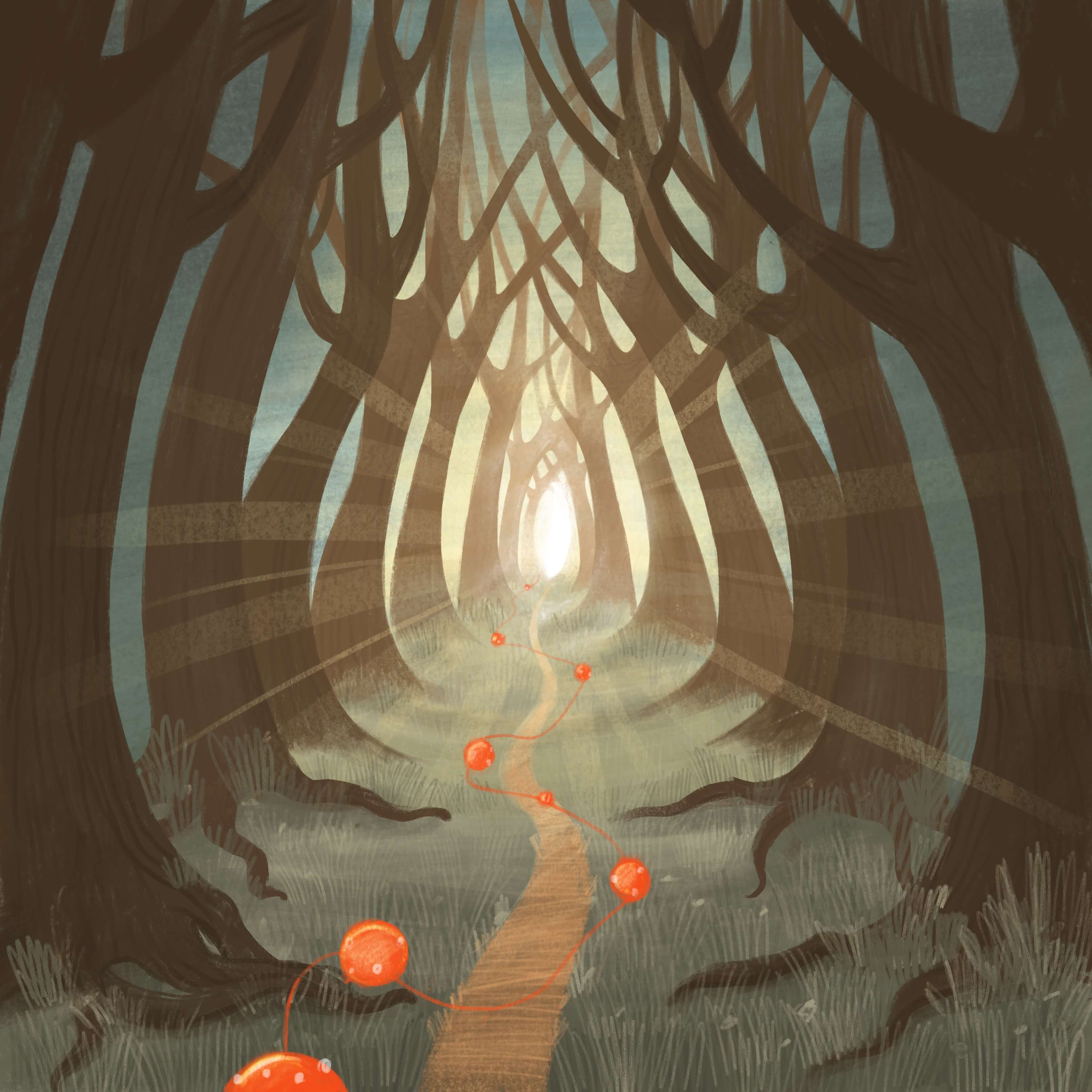 Journey Through the Forest